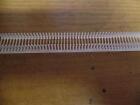 Lot Of 10 000 1 4  Fine Fabric Barbs Tag Pins Tagging Gun Fasteners