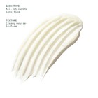 Aveda Advanced Botanical Kinetics Micro-purifying Cleansing Mousse   Removes Mak