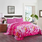 Soft Warm Micro Plush Flannel Blanket Fleece Throw Rug Sofa Couch Cover Bedding