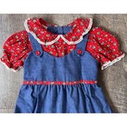 Vintage Blue Chambray And Red Floral Jumper Dress Peter Pan Collar Sears Size 6x