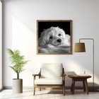 5d Diamond Art Kits For Adults Beginners spinning Maltese Dog Diy Full Round Dri