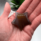 Brown Agate Star Carving