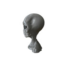 6    Gray Alien Head Bust     Ultra Smooth 3d Printed Petg     Ufo Roswell Style