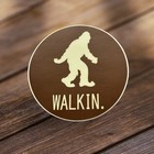 Widespread Panic Walkin Sticker Wsp Wsmfp