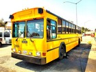 1990 Gillig Phantom School Bus