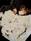 Xxl Curly Birdseye Maple Burl Wood Slab  Stabilizing  Epoxy Wood  Turning Wood 