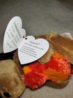 Ty Beanie Baby - Plymouth The Thanksgiving Bear - New