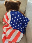 Trumpy Bear 22    Donald Trump President  America Stuffed Plush Nwt Original