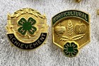 4h Club Award Lot 8 4-h Pins Pinback Sears Montgomery Ward Allis Chalmers Public