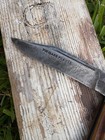Confederate Louisiana Pelican Folding Knife