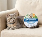 2pack  Adjustable Cat Collar For Cat Soft Durable Comfortable Pet Collar