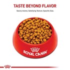 Royal Canin Adult Dry Dog Food - Chihuahua Breed Health Nutrition 10lb
