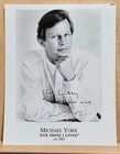 Vintage Actors Actresses Photographs Autographed Signed Lot Of 8