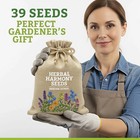 Medicinal Herb Seeds Variety Pack 39 Heirloom Non Gmo Tea Garden Kit Usa Packed