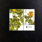 Ukraine 2017  Set   medicinal And Honey Plants   Corner Of The Sheet  Flowers