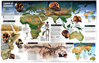     1997-2 February Dawn Of Humans National Geographic Map Evolution - A3 