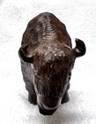 Hand Carved Ironwood Buffalo Bisson Good Details 5 1 2 X 3 1 2 Inches