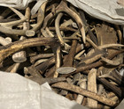 Grade D Elk Antler Mix     Crafts  Light Chew Dog Treat  Natural Shed - 3 Pieces