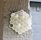Chemical Free Wasp Nest Decoy Hornet Deterrent 3d Print Customizable Pack  Of 10