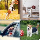 1 Pack 3 Reusable Dog Diapers Washable Male Belly Bands For Dogs    Small  