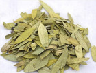 Organic Senna Leaves Dried Cut Leaf - Bulk -  Senna Alexandrina - Hojas De Sen