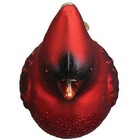 Old World Christmas Glass Blown Ornament For Christmas Tree  Northern Cardinal