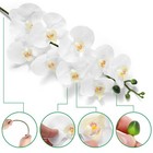 Ezflowery 2 Pcs 38       Artificial Real Touch Orchids Flowers 9 Heads Latex  White