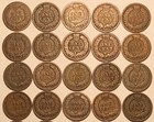 Short Set 1880 - 1899 Indian Head Cent Penny  20 Coins  G   Vg  Free Shipping