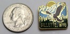 Fraternal Order Of Eagles Foe Gillette  Wyoming Lapel Hat Pin