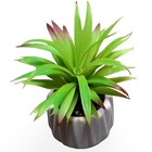 Artificial Succulent Plant Succulent Fake Faux Small Ceramic Home Decor