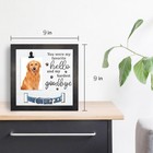 Meipaixuan Pet Memorial Frame     Dog   Cat Picture Frame For Pet Loss
