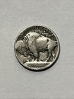 1913-d Denver Buffalo Indian Head Nickel  Type I Us 5c Type Coin  Obv Hairlines