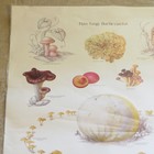 Have Fungi But Be Careful Vintage 1987 Smokey The Bear Poster 20  X 30 