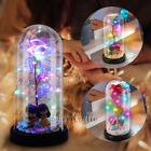 Galaxy Glass Crystal Rose Flower In Glass Dome Rose Flower Light Valentine s Day