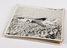 61 Authentic Us Navy Aviation 8x10 Photos Cold War Era F-4 A-6 A-1   A Lot More
