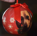 Christmas Ornament Dachshund Dog