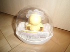 Takara Tomy Nohohon Zoku Hana Flower 2012 Eco Solar White 06 From Japan 13 