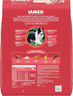 Proactive Health Minichunks Adult Dry Dog Food With Lamb   Rice  30 Lb  Bag