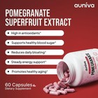 Auniva Pomegranate Extract Capsules  Natural Pomegranate Supplement