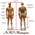 Male Skinton Heavy Duty Mannequin W  Flexible Posable Arms  base extra Pair Arms