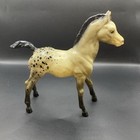 Vintage Breyer Family Arabian Foal  39 Gray Appaloosa