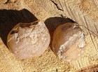 Natural Agate Geode Pair  Beautiful Polished Baby Brazilian Agate Geode 15g