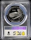 2023-w  100 Proof 1 Oz Platinum Eagle Pcgs Pr 69 Dcam   Freedom Of The Press
