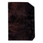 Distressed Tintype Of Two Women Cyclists C1895 - Antique Bicycle Photo Portrait