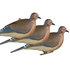 Avery Ghg Mourning Dove Decoys Resting Bird Combo Realistic Full-body  6-pack