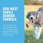 Kong Puppy Goodie Bone - Stuffable Natural Rubber Chew Toy Small  pack Of 1  