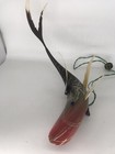 Vintage Hand Made From Shell 19 Jamaica Bwi Shark Lamp