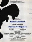 Michael Crawford  flowers For Algernon  1979 London Flop Souvenir Program