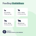 Pawfy Allergy   Immune Support For Dogs     Gut   Immune  30 Chews  Free Shipping