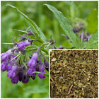 Comfrey Leaf  Organic  Soap Making Supplies  Herbal Extracts 